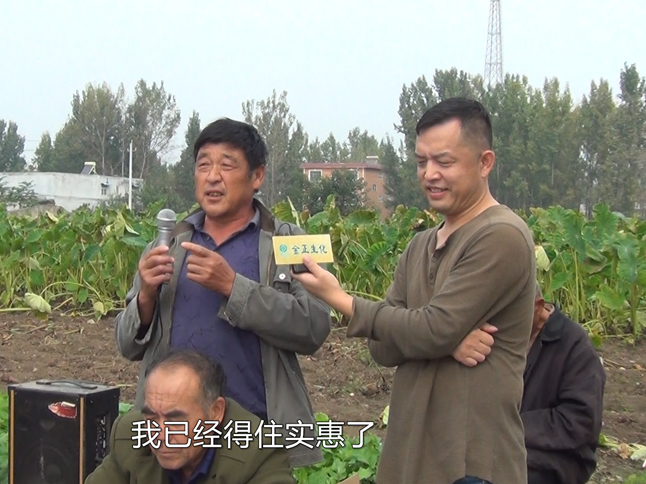南陽(yáng)宛城區(qū)芋頭測(cè)產(chǎn)觀摩會(huì)見(jiàn)證5個(gè)15神奇
